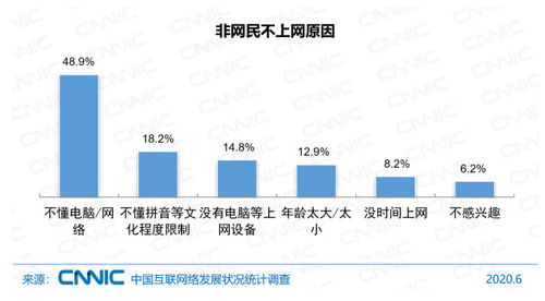 中國互聯網絡發展狀況統計報告（2020年第46次） 網民規模、結構狀況與計算機軟件數據處理服務分析